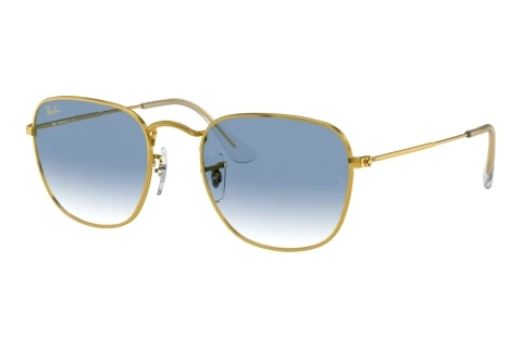 Zonnebril Ray-Ban FRANK (RB3857 91963F)