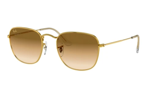 Zonnebril Ray-Ban FRANK (RB3857 919651)
