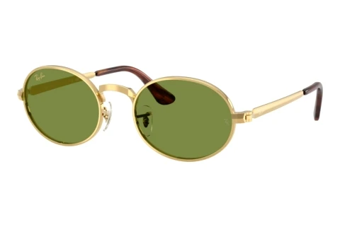 Zonnebril Ray-Ban RB3931 001/4E