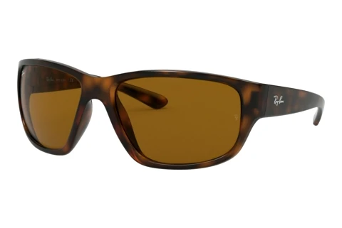 Zonnebril Ray-Ban RB4300 710/33