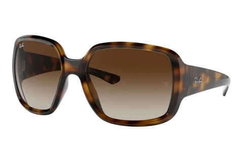 Zonnebril Ray-Ban POWDERHORN (RB4347 710/13)