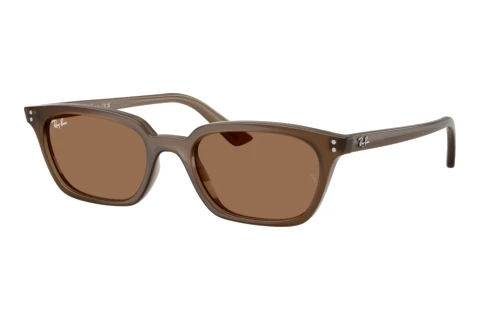 Zonnebril Ray-Ban ZAYA (RB4456 677973)