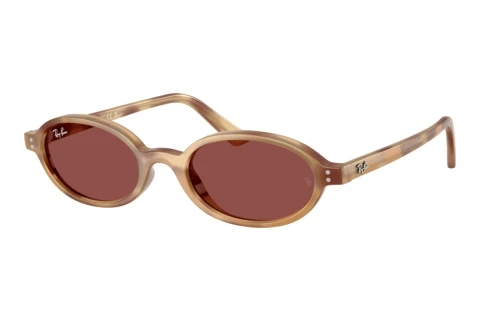 Zonnebril Ray-Ban RB4472 685675