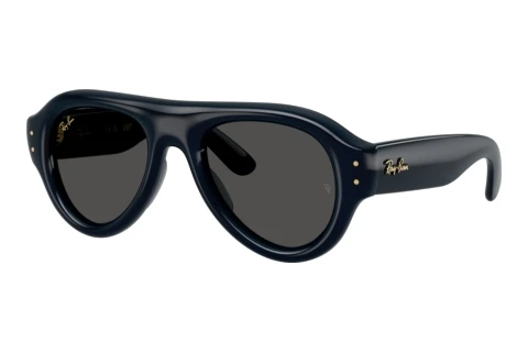 Zonnebril Ray-Ban RB4925 689587