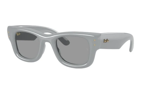Zonnebril Ray-Ban WAYFARER PUFFER (RB4940 6876/1)