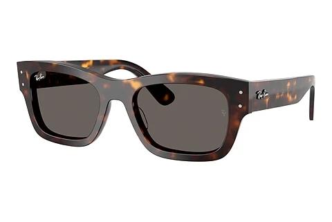 Zonnebril Ray-Ban JOSEPH (RB7683S 902/B1)