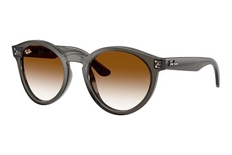 Zonnebril Ray-Ban RBR0505S 6707CB