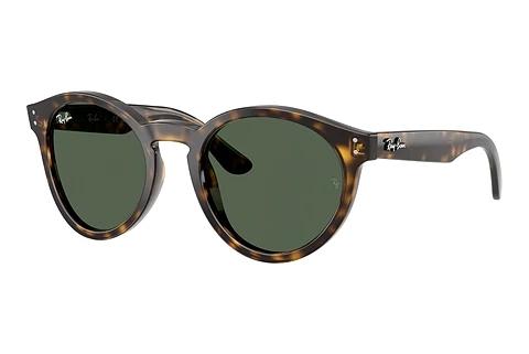 Zonnebril Ray-Ban RBR0505S 6790VR