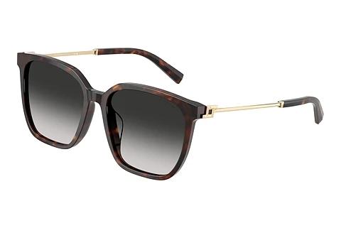 Zonnebril Tiffany TF4244D 80153C