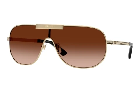 Zonnebril Versace VE2293 125213