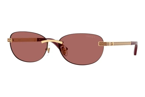 Zonnebril Versace VE2307 152369