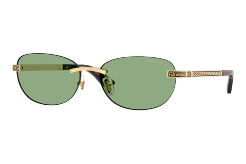 Zonnebril Versace VE2307 152382