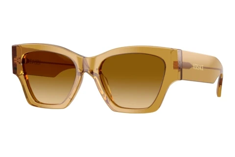 Zonnebril Versace VE4492U 53472L