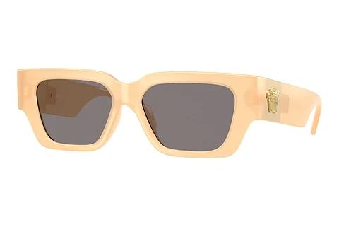Zonnebril Versace VE4497U 554473