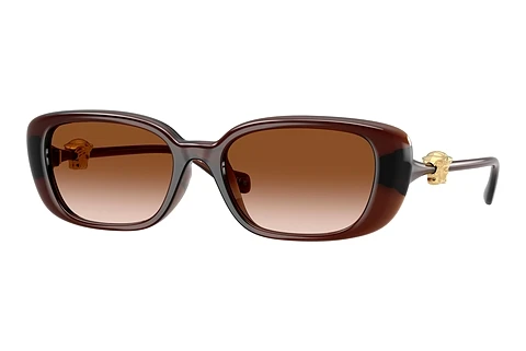 Zonnebril Versace VE4504D 533213