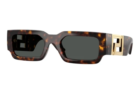 Zonnebril Versace VE4506U 108/87
