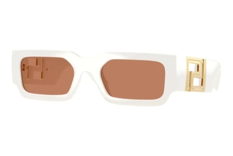 Zonnebril Versace VE4506U 554473