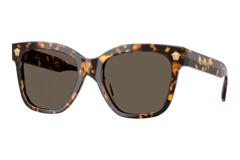 Zonnebril Versace VE4511 5514/3