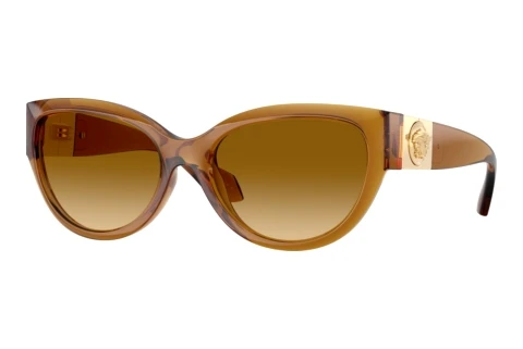 Zonnebril Versace VE4524U 53472L