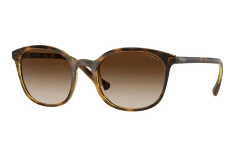 Zonnebril Vogue Eyewear VO5051S W65613