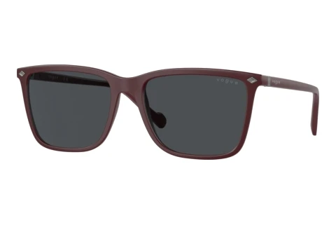 Zonnebril Vogue Eyewear VO5493S 304887