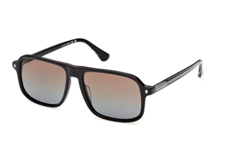 Zonnebril Web Eyewear WE0396 05F