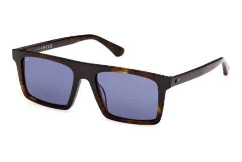 Zonnebril Web Eyewear WE0397 52V