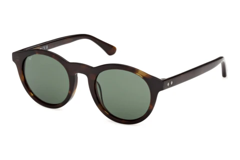 Zonnebril Web Eyewear WE0398 52N