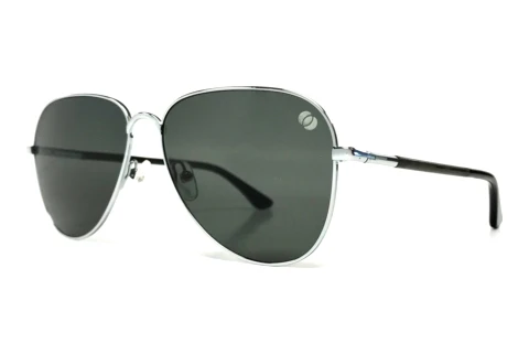 Zonnebril Wood Fellas Eberburg (10786 black oak/silver shiny)