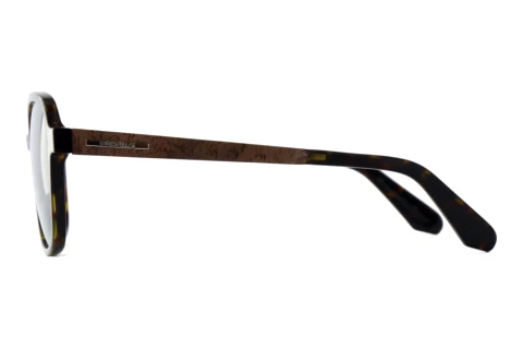 Zonnebril Wood Fellas SIROCCO (11749 curled/havana)