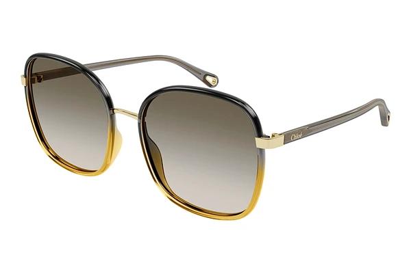 Zonnebril Chloé CH0031S 010