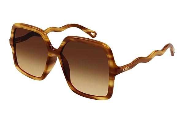 Zonnebril Chloé CH0086S 002