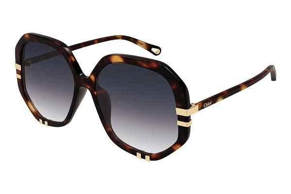 Zonnebril Chloé CH0105S 004