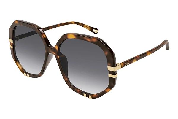 Zonnebril Chloé CH0105S 007