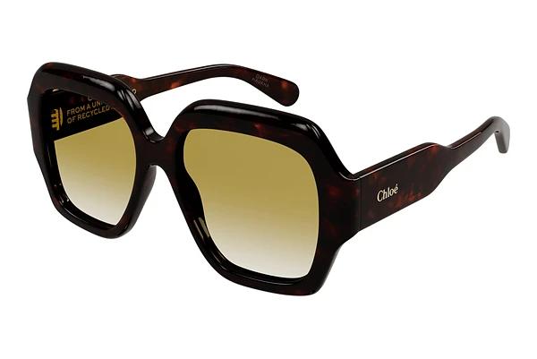Zonnebril Chloé CH0154S 002