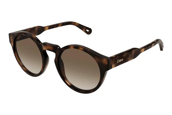 Zonnebril Chloé CH0158S 002