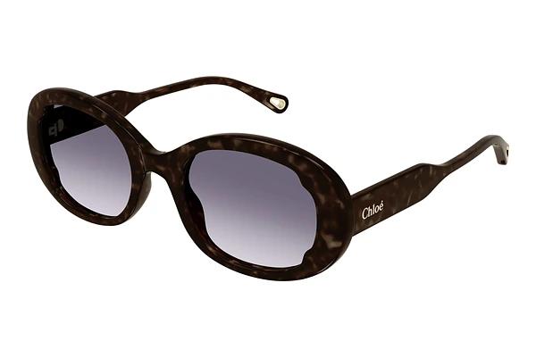 Zonnebril Chloé CH0197SA 002