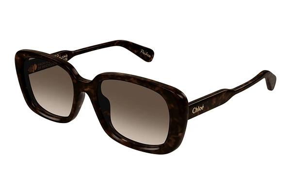 Zonnebril Chloé CH0225SK 002