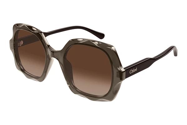 Zonnebril Chloé CH0226S 007