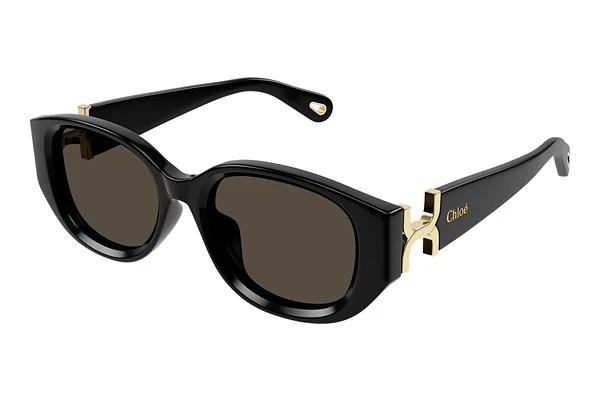 Zonnebril Chloé CH0237SK 001