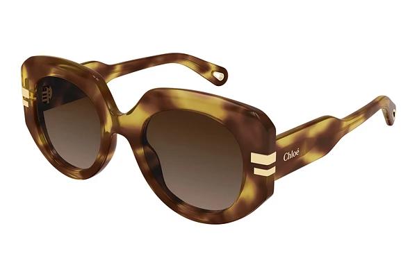 Zonnebril Chloé CH0257S 002