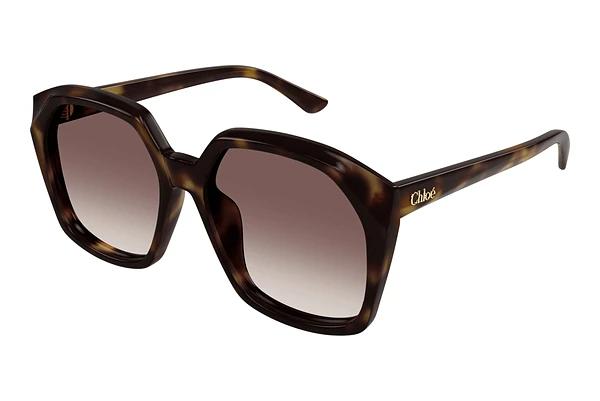 Zonnebril Chloé CH0280S 006
