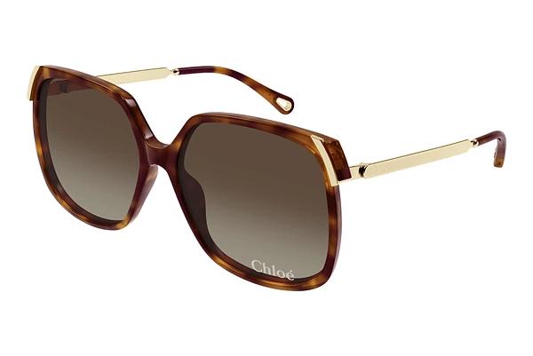 Zonnebril Chloé CH0286S 002