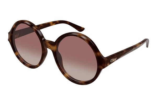 Zonnebril Chloé CH0290S 003