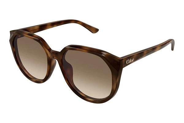 Zonnebril Chloé CH0291SK 003