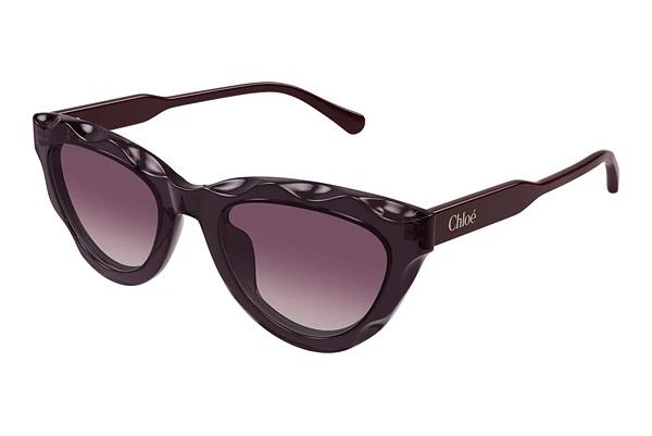 Zonnebril Chloé CH0294S 002