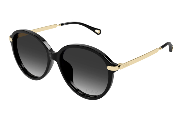 Zonnebril Chloé CH0358SK 001
