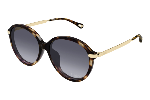 Zonnebril Chloé CH0358SK 002