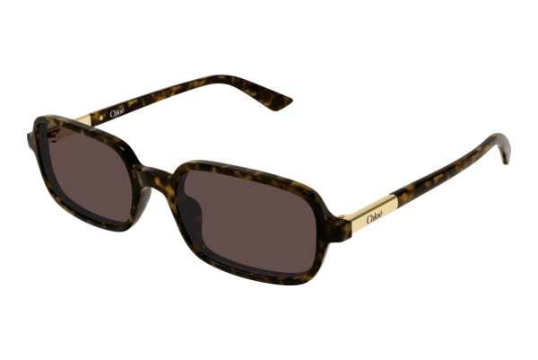 Zonnebril Chloé CH0363S 002