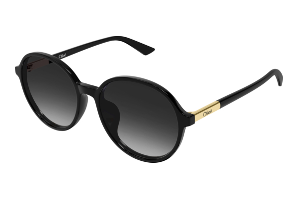 Zonnebril Chloé CH0365SK 001